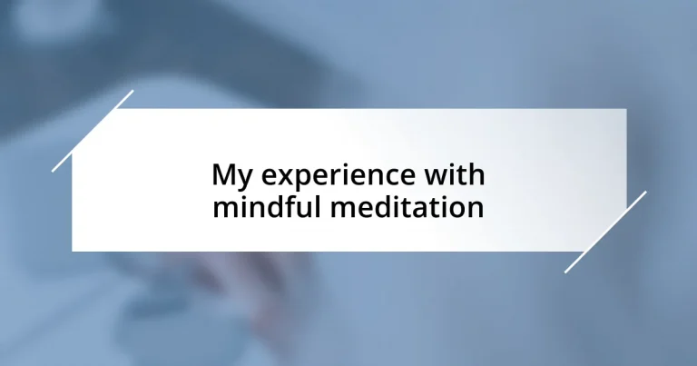 My experience with mindful meditation