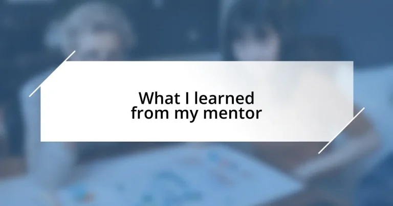 What I learned from my mentor