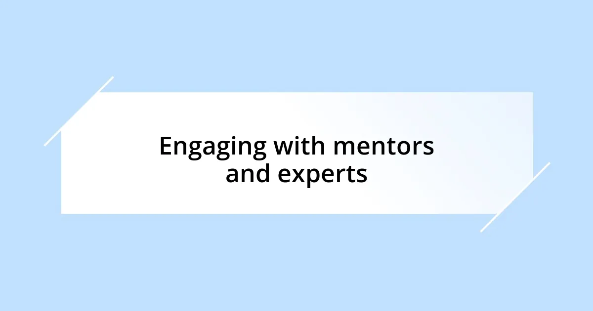 Engaging with mentors and experts