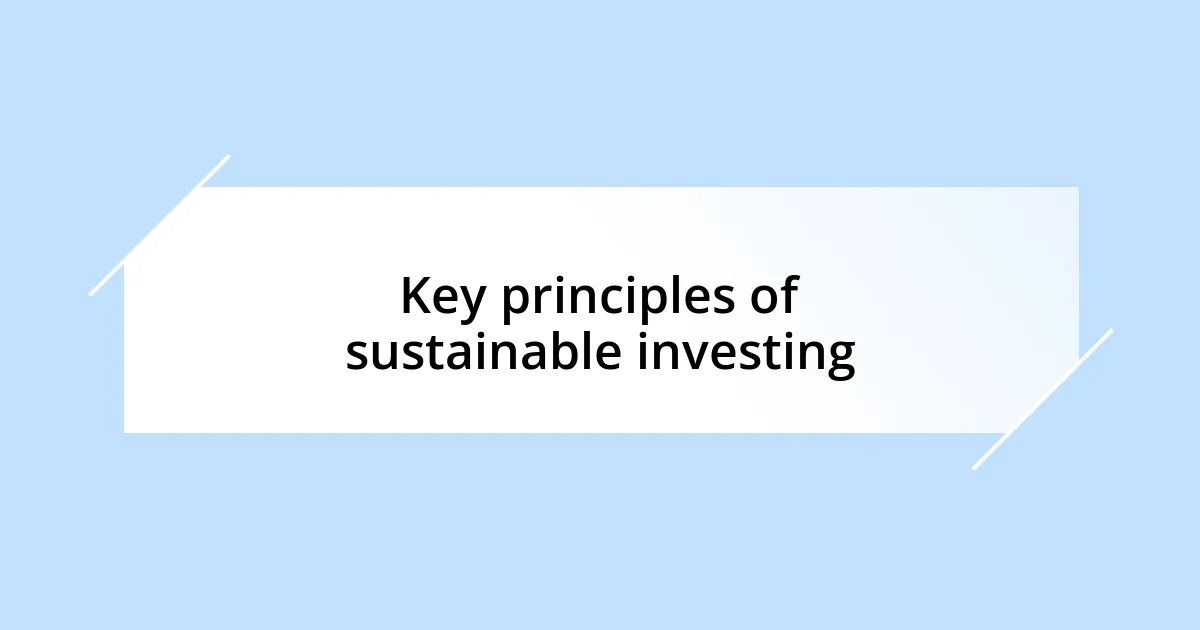 Key principles of sustainable investing